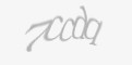 Codice di sicurezza